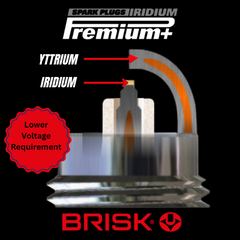 Iridium Premium P51 BRISK Tabor