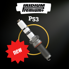 Iridium Premium P53 BRISK Tabor