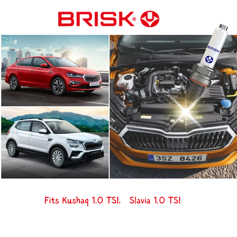 BOEX14YP BRISK Tabor