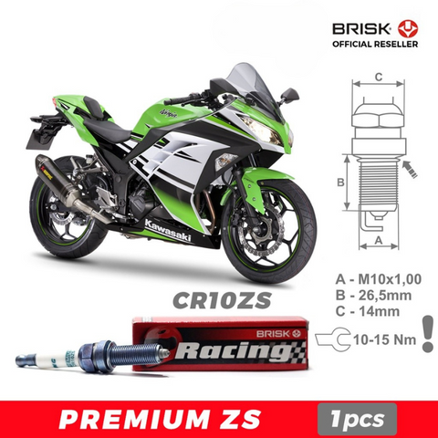 CR10ZS Premium Racing BRISK Tabor