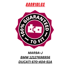 AAOR10LGS Premium LGS BRISK Spark Plugs