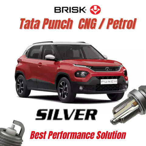 Tata Punch Spark Plugs 